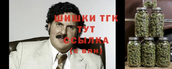 PSILOCYBIN Беломорск