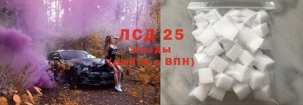 индика Белоозёрский