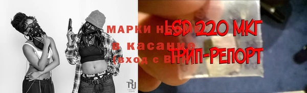 MESCALINE Белокуриха