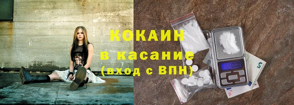 индика Белоозёрский