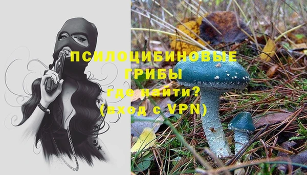 PSILOCYBIN Беломорск