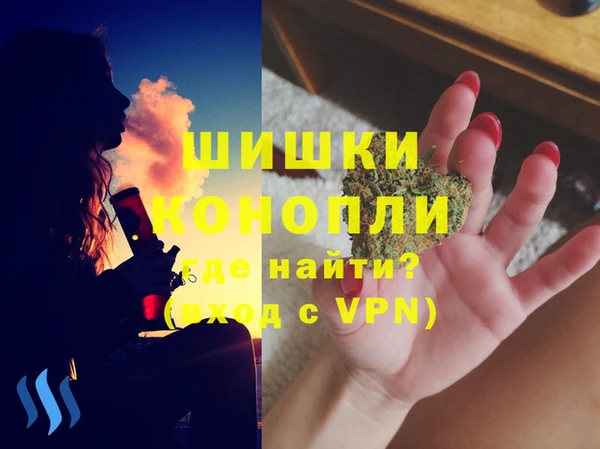 индика Белоозёрский