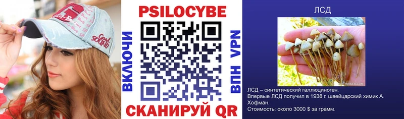 Псилоцибиновые грибы ЛСД  ссылка на мегу сайт  Чёрмоз 